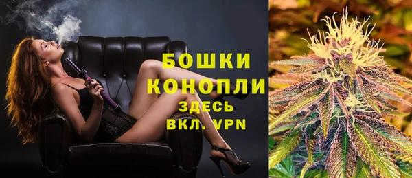 индика Остров