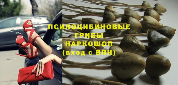 индика Остров