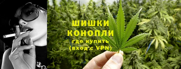 индика Остров