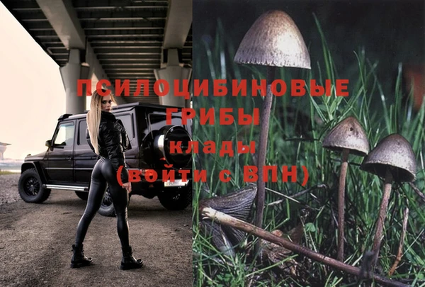 2c-b Нягань